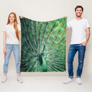 Manta Polar Peacock Strut