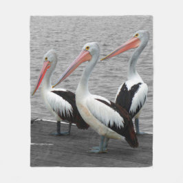 Manta Polar Pelican Sea Bird Minimalista Color Pop Photography