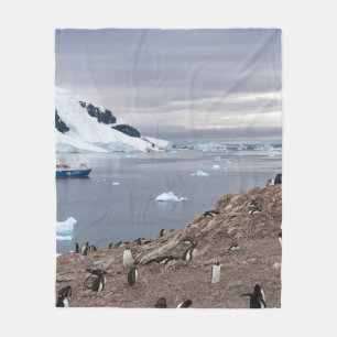 MANTA POLAR PENGUINS BESIDE SEA