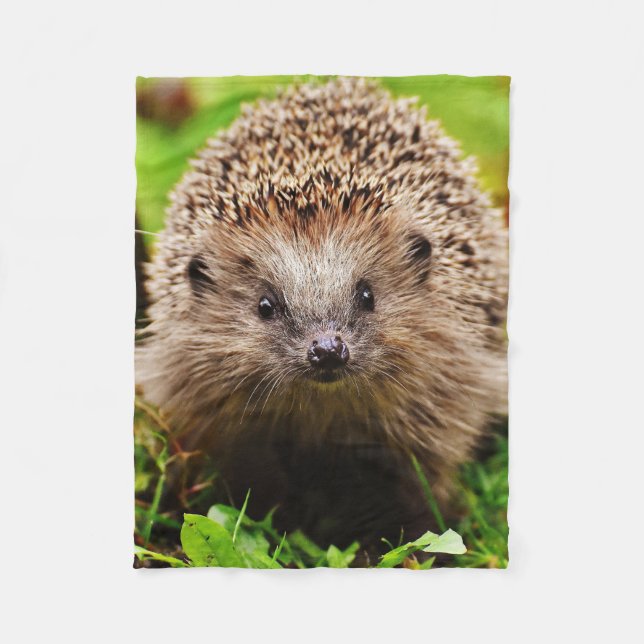 Manta Polar Pequeño erizo lindo en el bosque (Anverso)
