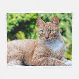 Manta Polar Pequeño gatito dulce