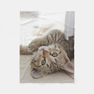 Manta Polar Pequeño gatito lindo