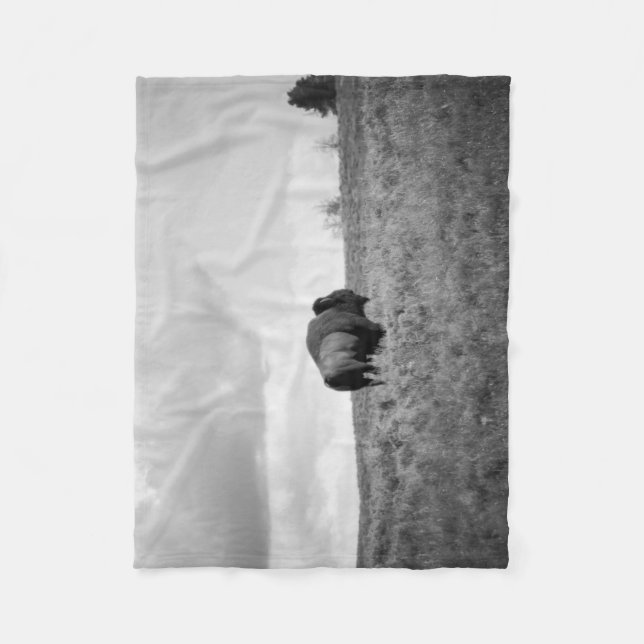 Manta Polar Pequeño morado norteamericano negro y blanco (Anverso)