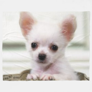 MANTA POLAR PERRITO DE LA CHIHUAHUA