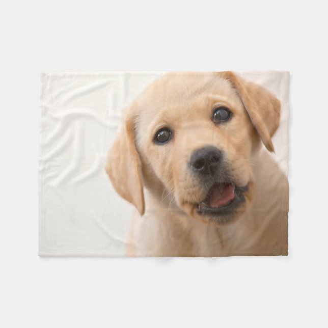 Manta Polar Perrito de oro de Labrador (Frente (Horizontal))
