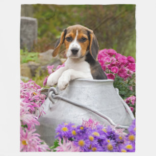 Manta Polar Perrito tricolor lindo del perro del beagle en la
