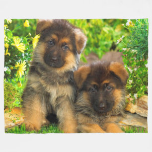 Manta Polar Perritos