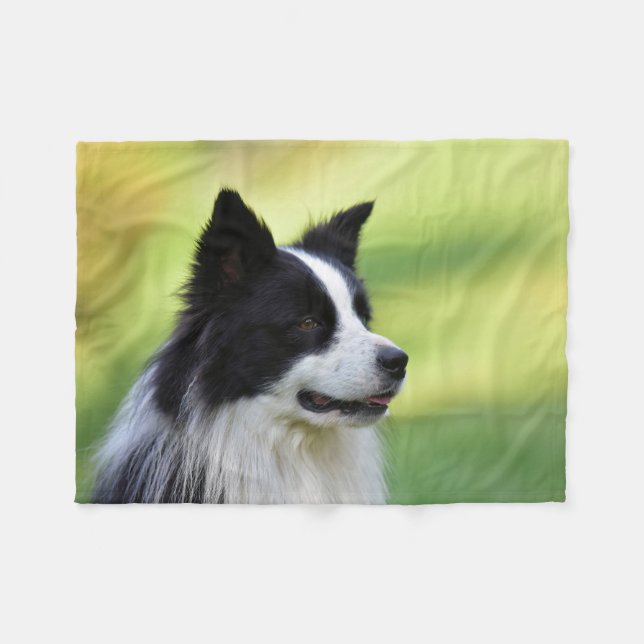Manta Polar Perro Border Collie negro y blanco (Frente (Horizontal))