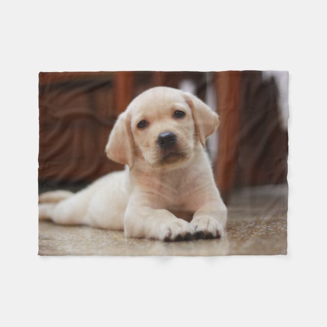 Manta Polar Perro cachorro de cachorro amarillo bebé tendido s (Frente (Horizontal))