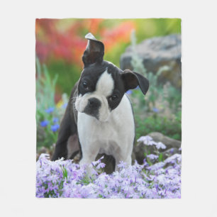 Manta Polar Perro de Boston, adorable