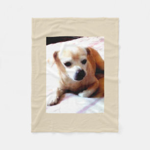 Manta Polar Perro lindo