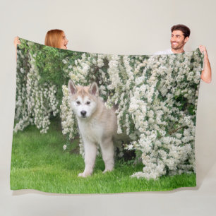 Manta Polar Perro malamute de Alaska en foto de flores