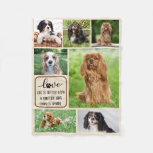 Perro personalizado, Cavalier King Charles Spaniel