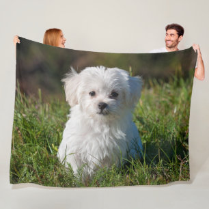 Manta Polar Perro picante maltés blanco, mullido