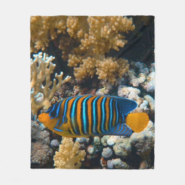 Manta Polar Pescado colorido (Anverso)