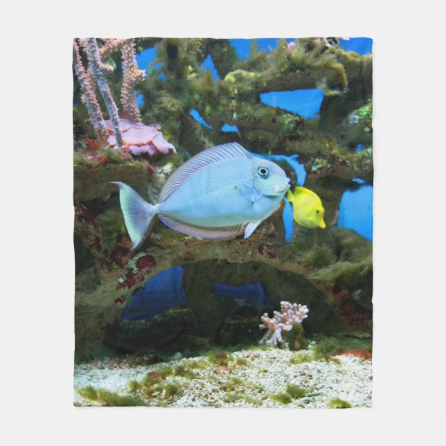 Manta Polar Pescados del azul del mar (Anverso)
