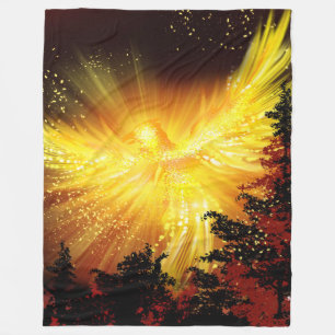Manta Polar Phoenix en vuelo