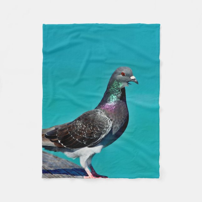 Manta Polar Pigeon With A View (Anverso)