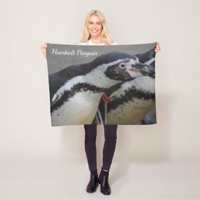 Manta Polar Pingüino humbolt en el zoológico de Drusillas en M (In situ)