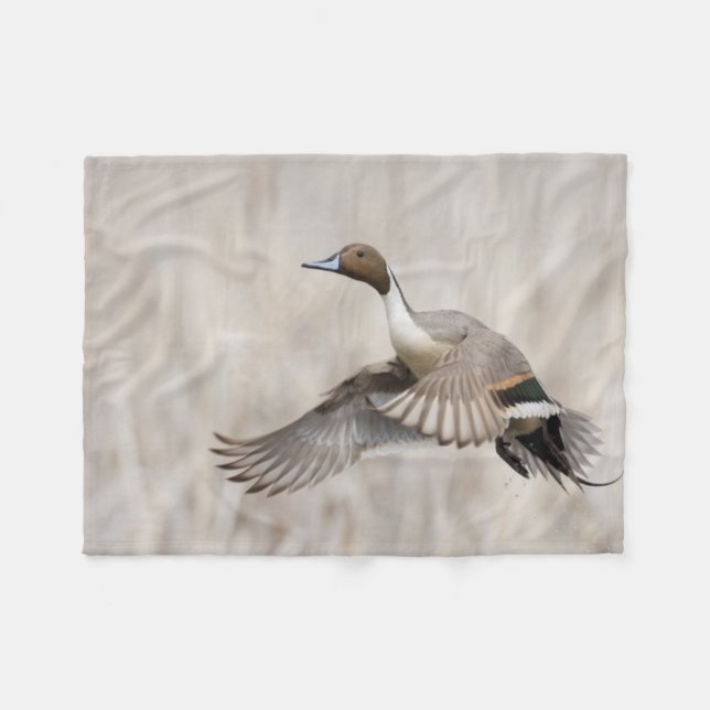 Manta Polar Pintail Drake Take Flight (Frente (Horizontal))
