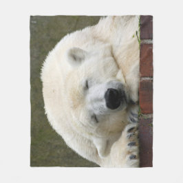 Manta Polar PolarBear_2015_0401