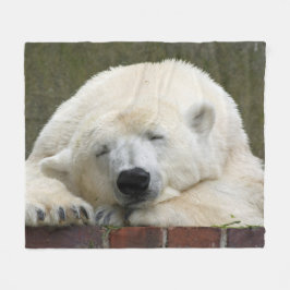 Manta Polar PolarBear_2015_0401