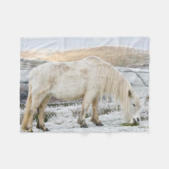 Manta Polar Poni Fell blanco en páramo en invierno (Frente (Horizontal))