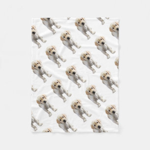 Manta Polar Posando el laboratorio amarillo