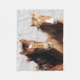 Manta Polar Potros del lavabo de la arena