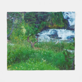 Manta Polar Príncipe de la Selva