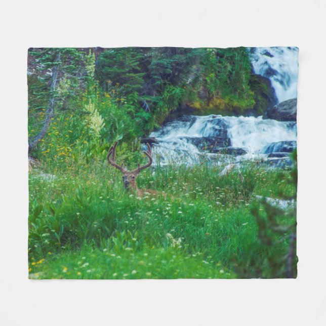 Manta Polar Príncipe de la Selva (Frente (Horizontal))