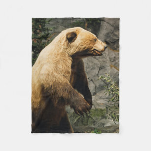 Manta Polar Proud Bear