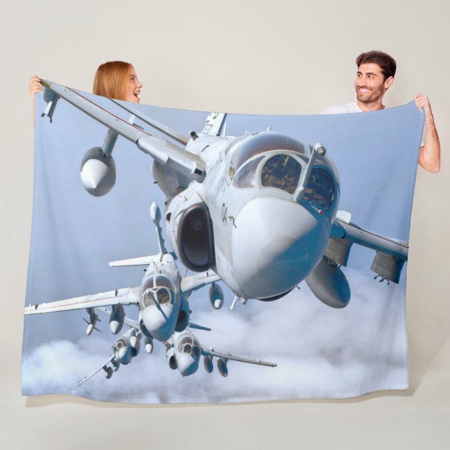 MANTA POLAR PROWLER EA-6B (In situ)