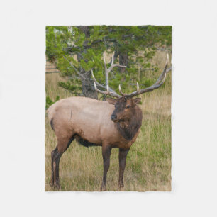 Manta Polar Pueblo Lago Elk Parque Nacional Yellowstone Wyomin