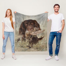 Puntero alemán de pelo largo