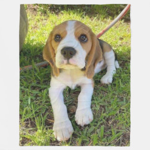 MANTA POLAR PUP DE BEAGLE