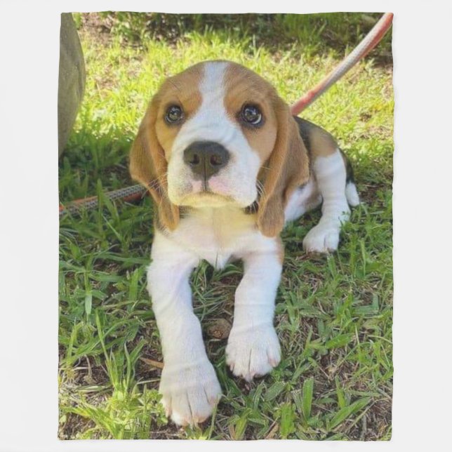 MANTA POLAR PUP DE BEAGLE (Anverso)