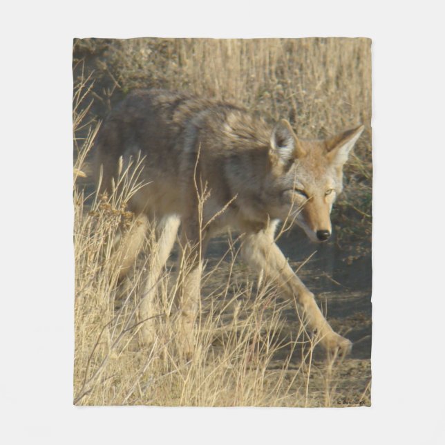 Manta Polar R14 Coyote Caminando (Anverso)