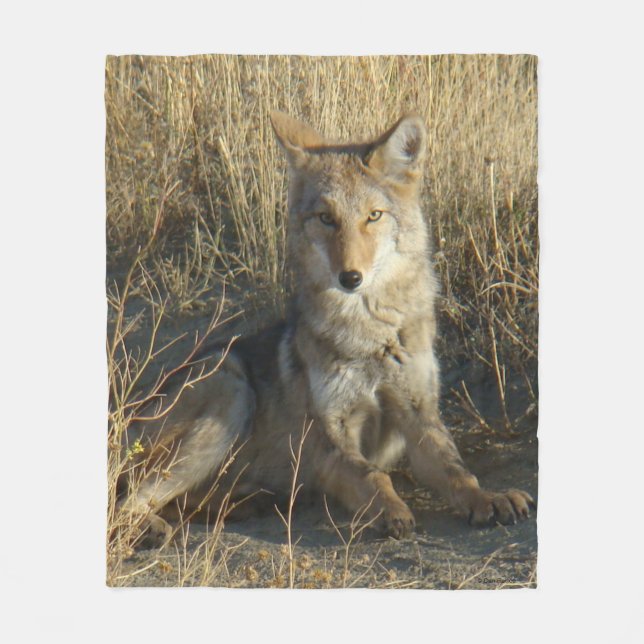 Manta Polar R15 Coyote Acostado (Anverso)