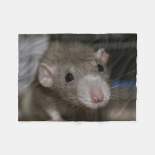 Manta Polar Rata curiosa