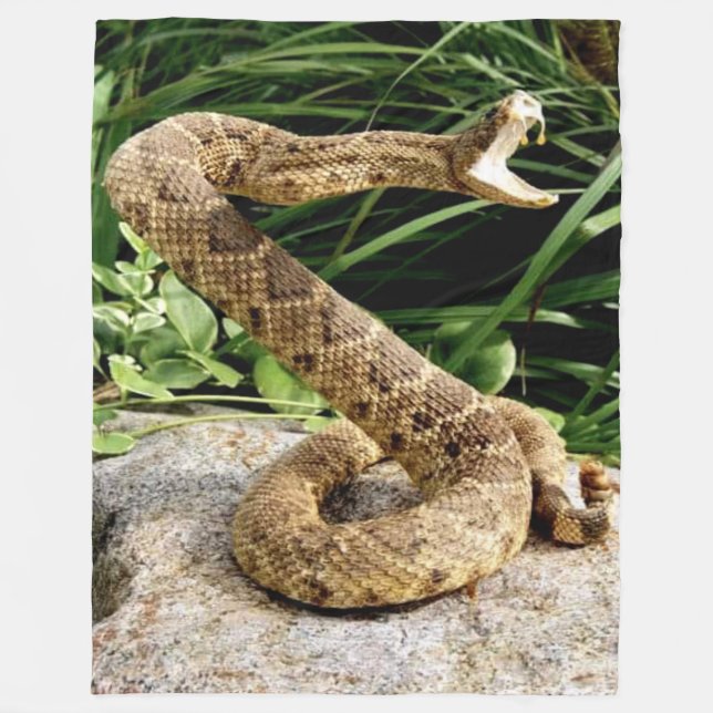 MANTA POLAR RATTLE SNAKE (Anverso)
