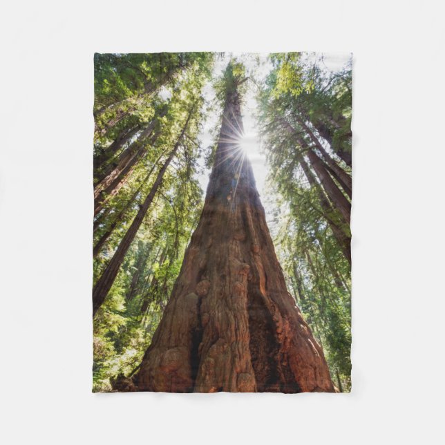 Manta Polar Redwoods imponentes (Anverso)