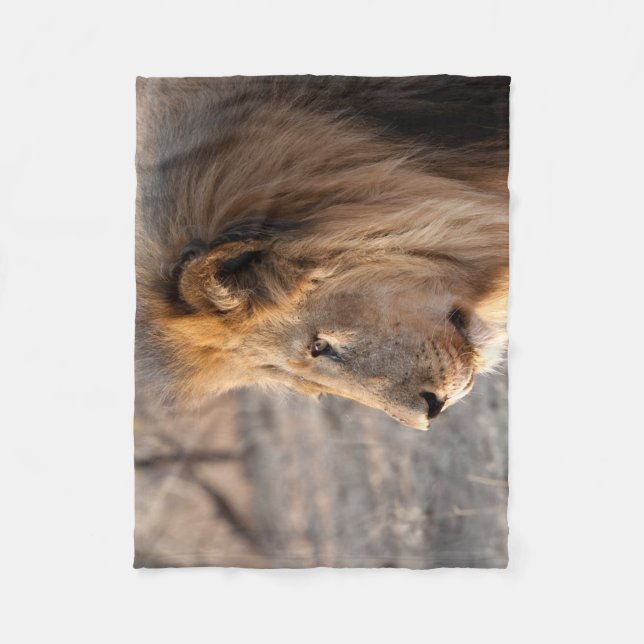 Manta Polar Retrato de león (Anverso)