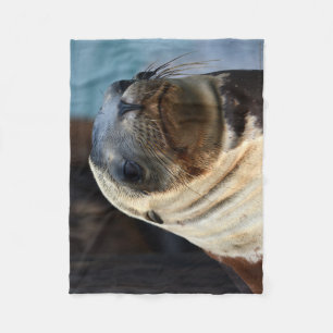 Manta Polar Retrato de león marino
