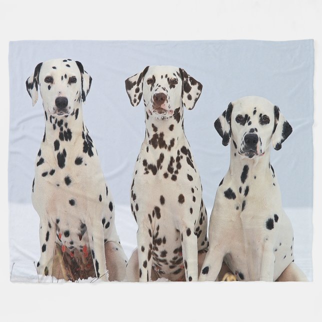 Manta Polar Retrato familiar dálmata (Frente (Horizontal))
