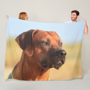 MANTA POLAR RHODESIAN RIDGEBACK