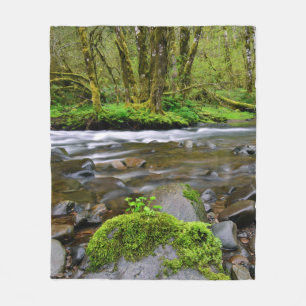 Manta Polar Río en bosque verde, Oregón