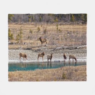 Manta Polar Rockies Wapiti Canadienses (Elk)