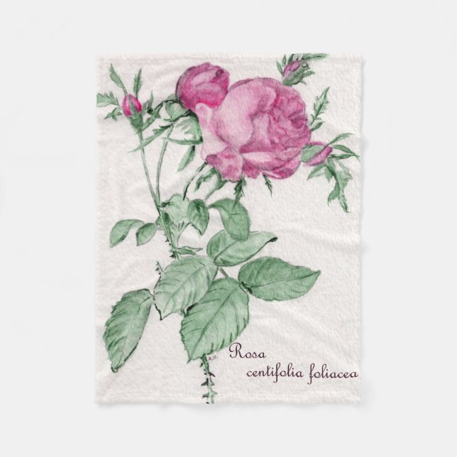 Manta Polar Rosa Centifolia Foliacea Throw Blanket (Anverso)