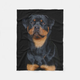 Manta Polar Rottweiler